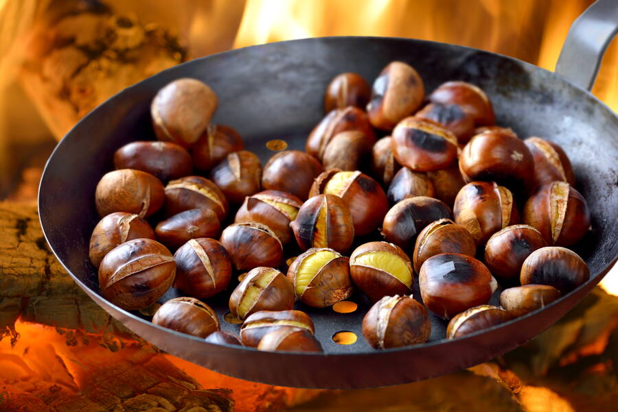 marroni.jpg marroni.jpg